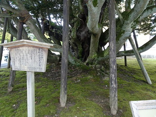 29866472387_0d527be2c0_n.jpg