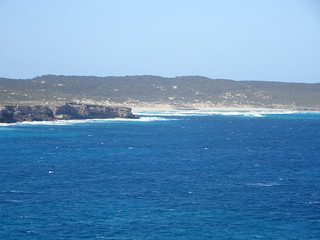 37200583931_f043ae5412_n.jpg