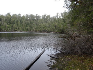 38955909570_d55902b9e8_n.jpg