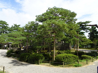 44874597341_4f24393595_n.jpg