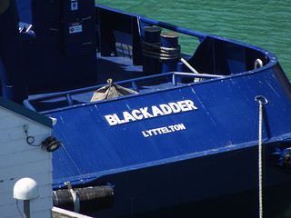 47064232202_b7054e4e12_n.jpg