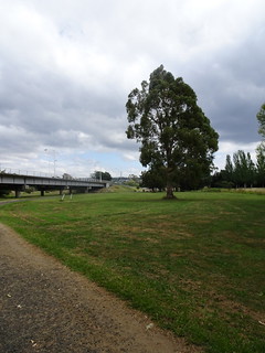 28400982499_0b669dd864_n.jpg