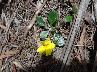45868254052_fce0c183d2_n.jpg