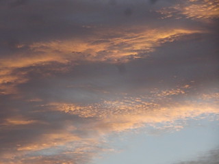 45132597931_8a2921c47a_n.jpg