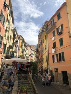 IMG_7019.jpg