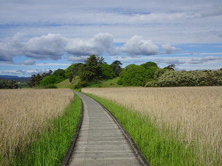 38030143836_c796e37537_n.jpg