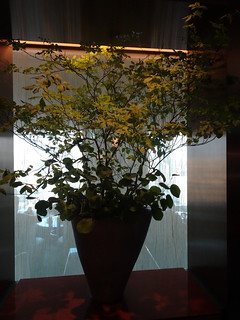 27686532877_2dbd0afa90_n.jpg