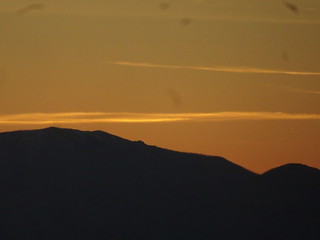 42381612632_f89006c3b9_n.jpg