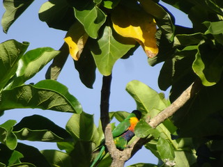 43874736562_5d4c55c506_n.jpg