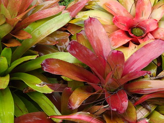 35890032196_2c8768366e_n.jpg