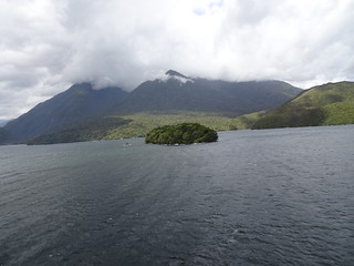 47003608672_035cf93c57_n.jpg