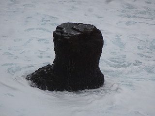 43319374840_13956f7575_n.jpg