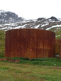 33681066390_54a89487f4_n.jpg