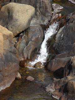 43976266461_a0cf455bec_n.jpg