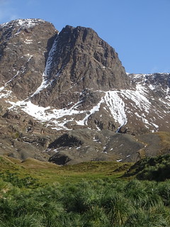 33909368042_880871e92b_n.jpg
