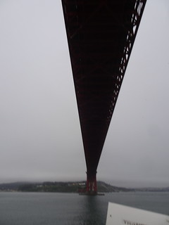 41608855854_c493bbdb7e_n.jpg