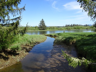 41454400565_50cd88f72d_n.jpg[