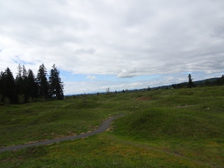 41686619684_912714e3c1_n.jpg