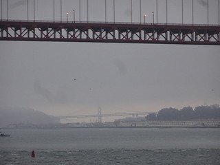 41608865384_c40ab7d4d2_n.jpg
