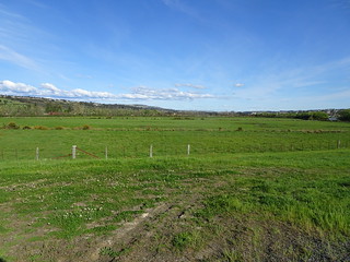 37820274202_cdf5978434_n.jpg