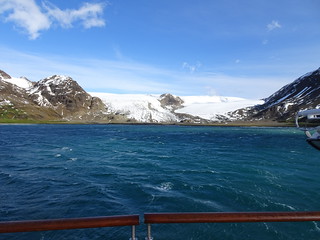 33541059272_b4508c8829_n.jpg