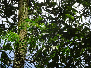 42947895875_d44cb1d010_n.jpg