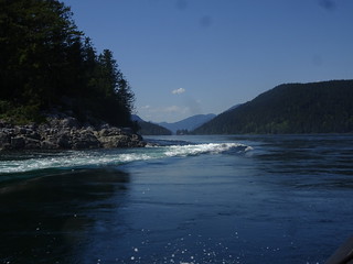 41632979565_6d3e9312c4_n.jpg