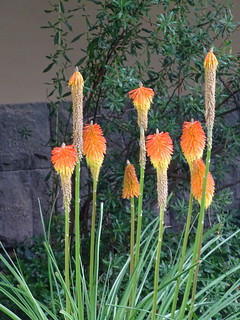 32584531334_0c13b183cc_n.jpg