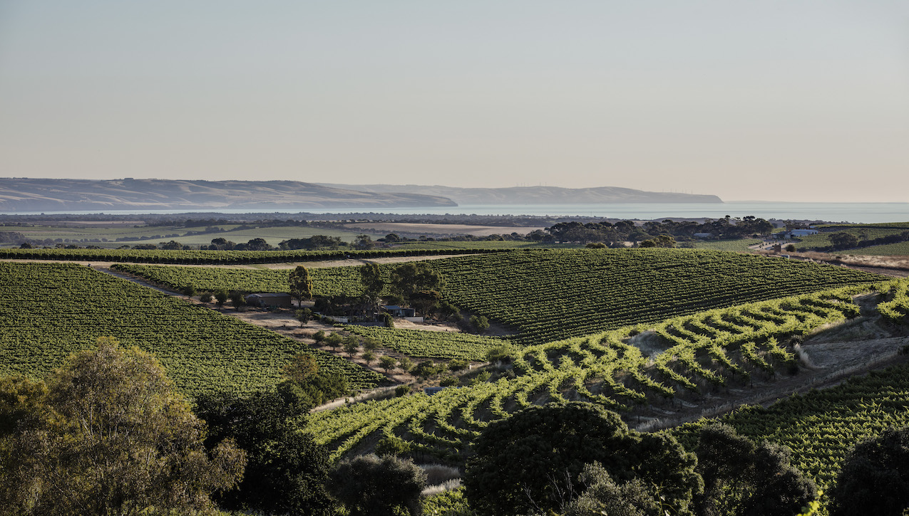 www.jancisrobinson.com