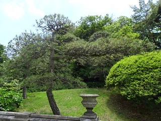 41655133455_36a151e467_n.jpg