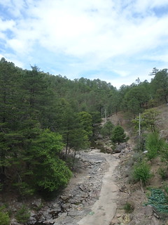 28179553788_63c4f3d630_n.jpg