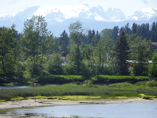 42483294012_9d16ca6d7f_n.jpg
