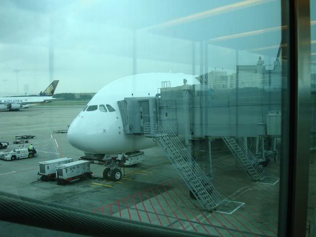 DSC01013.jpg