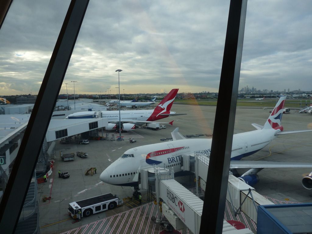 P1010765.jpg