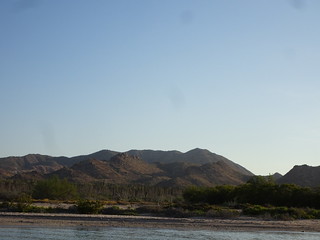 41151879165_aa216b349e_n.jpg