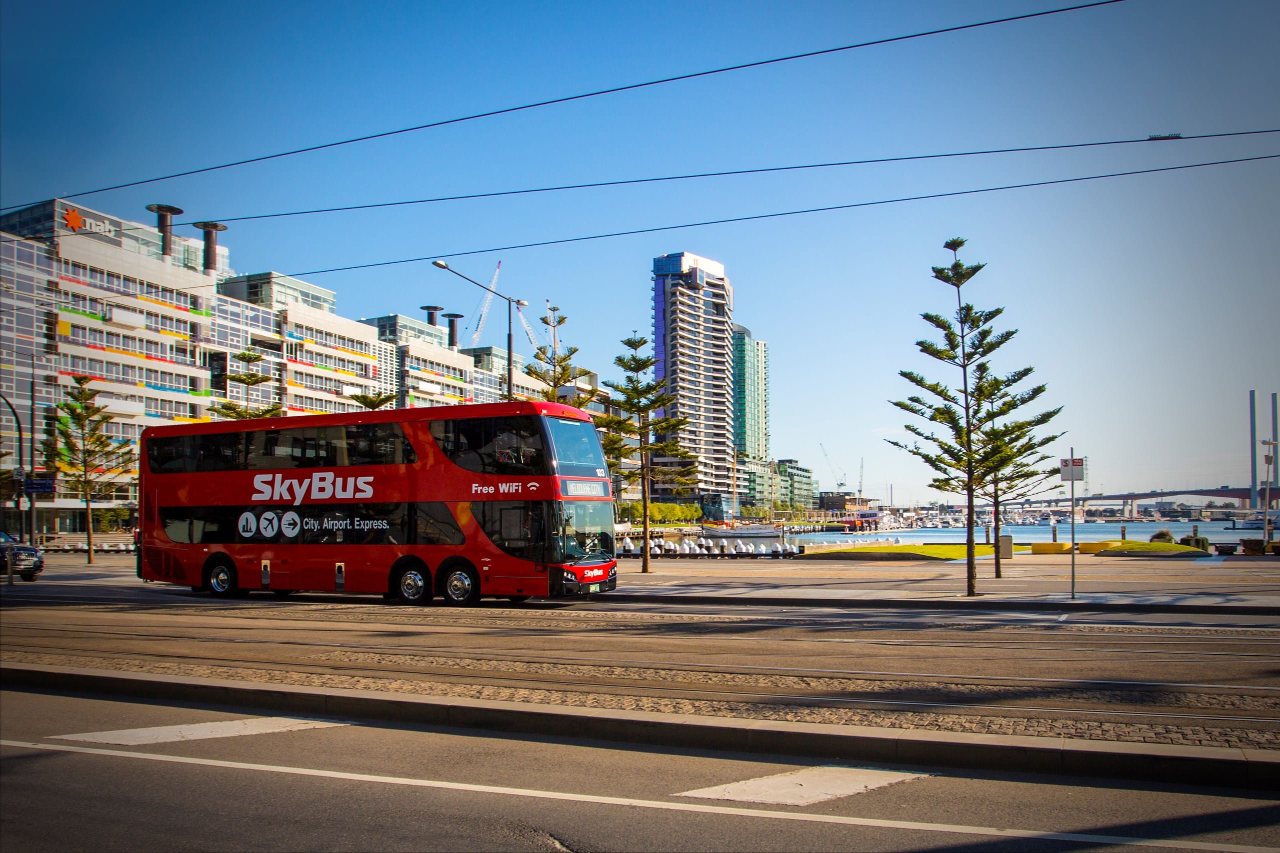 www.busnews.com.au