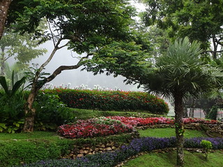 35542415640_43ea0e6d47_n.jpg