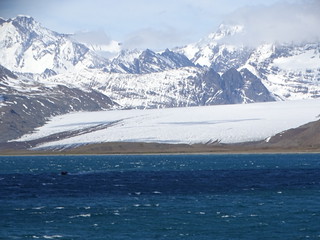 34066132695_ec39b8c269_n.jpg