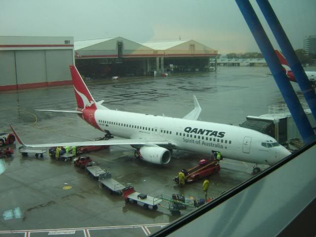 DSC02425.jpg