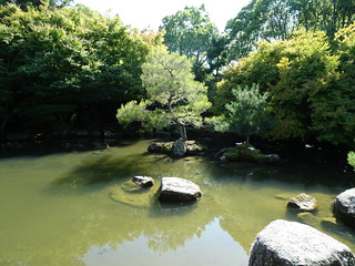 47245807781_c63f8fe8c0_n.jpg