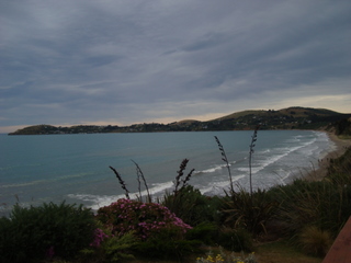 NZ%20december%20060.JPG