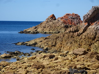 39488934084_59c1b0f278_n.jpg
