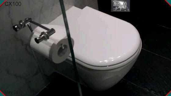 310-toilet.jpg