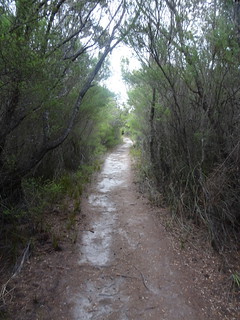 45963315714_cb1123f95d_n.jpg