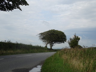 29668944600_a056c03159_n.jpg