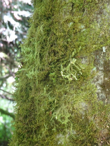 42387498601_96a35ce812.jpg