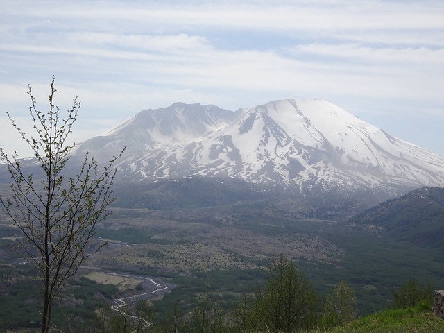 28491644868_f11e3cb44d_z.jpg