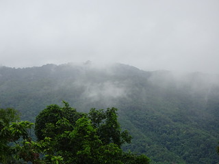 35542402470_cf7573d5d2_n.jpg