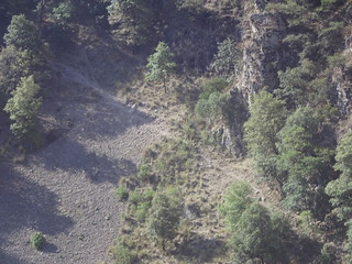 40257457500_fc08c02641_n.jpg