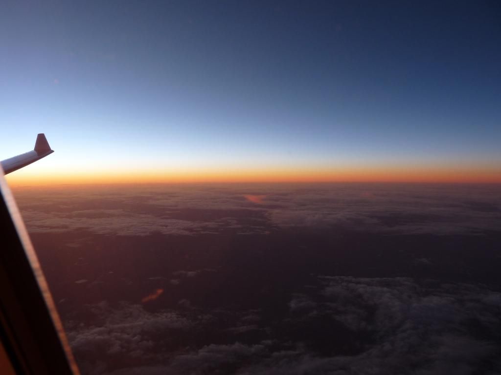 P1010964.jpg